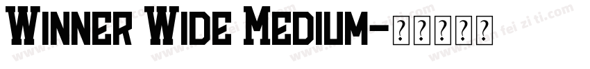 Winner Wide Medium字体转换